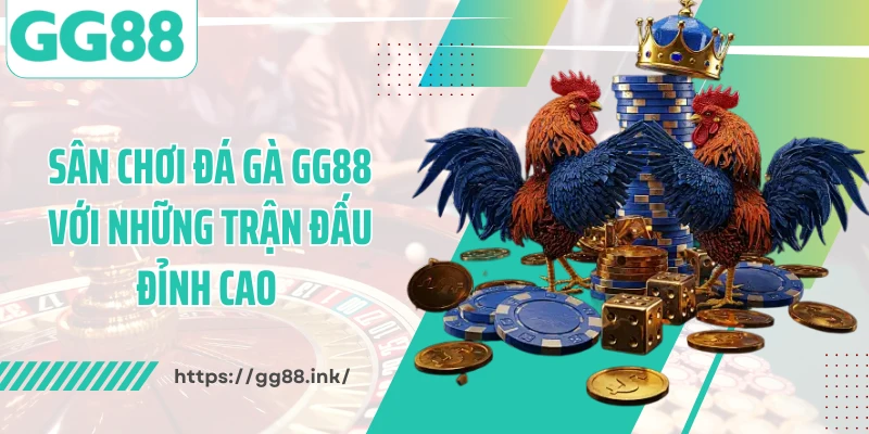 Sân chơi đá gà GG88 với những trận đấu đỉnh cao 